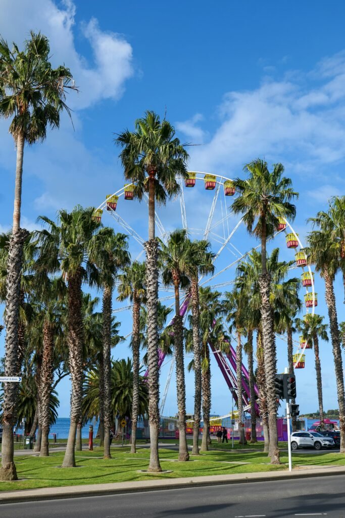 A vibrant ferris wheel among palm trees on a sunny day in Geelong, Victoria.
